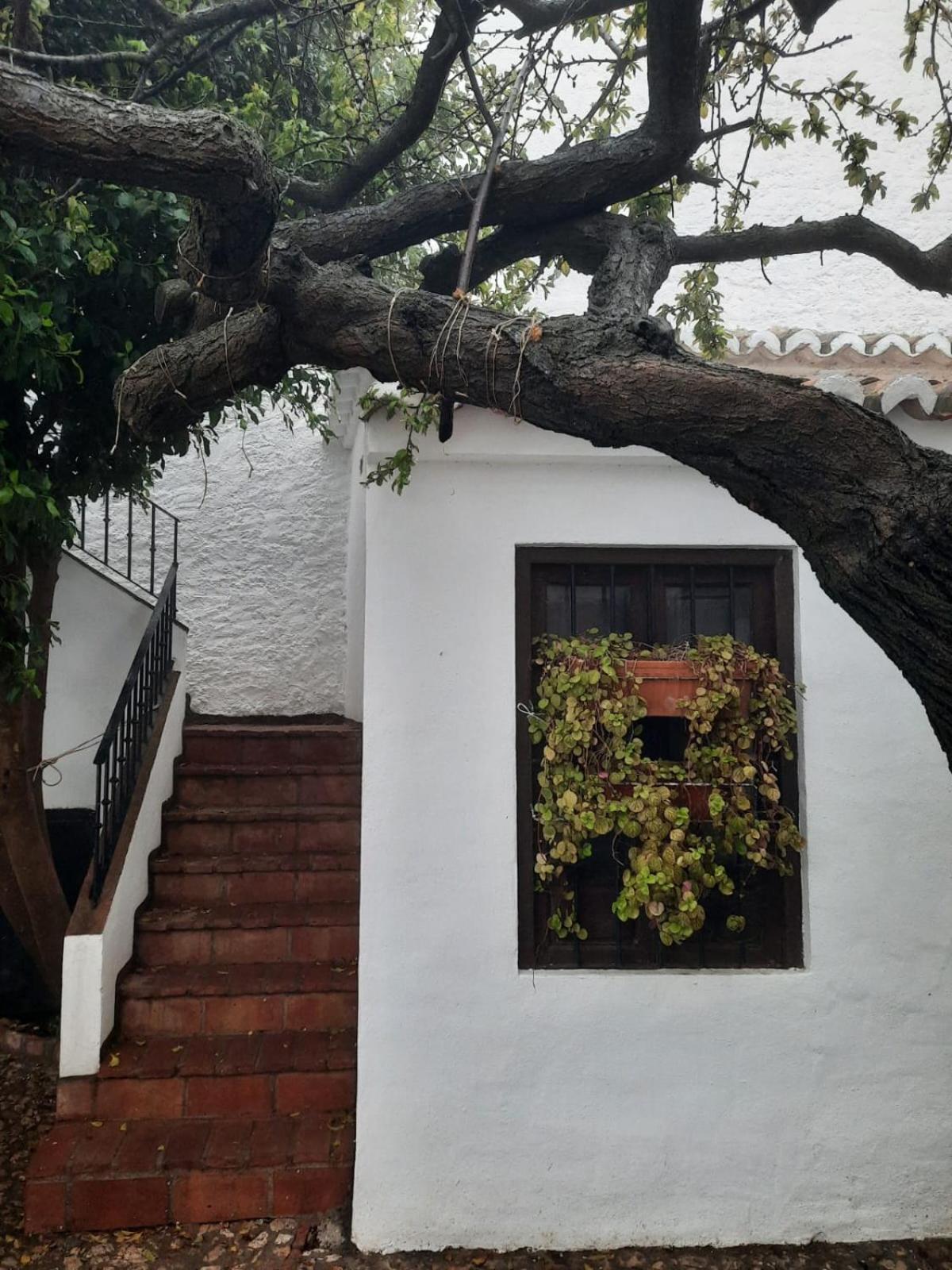 Hotel Rural Verde Oliva Comares Phòng bức ảnh