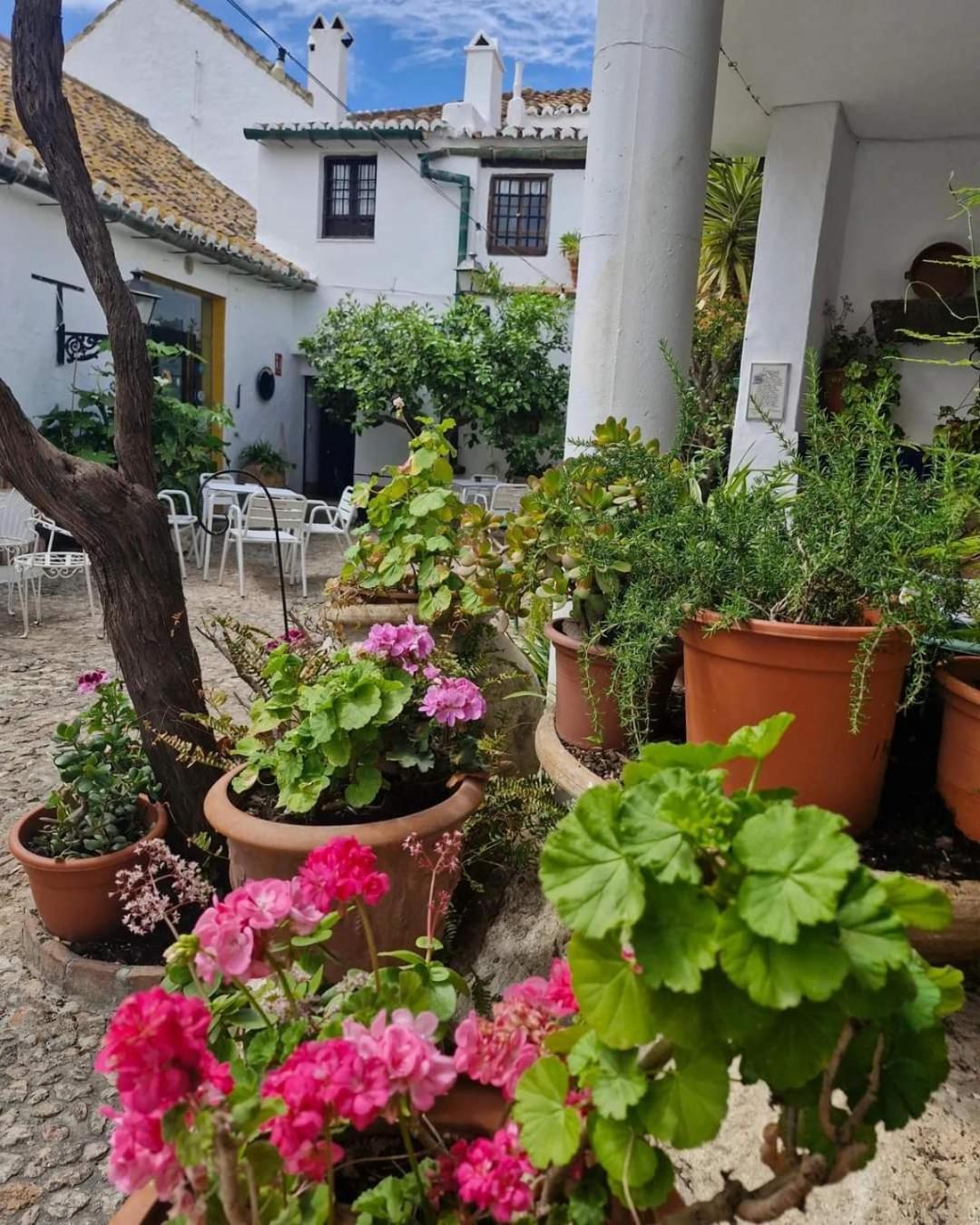 Hotel Rural Verde Oliva Comares Ngoại thất bức ảnh