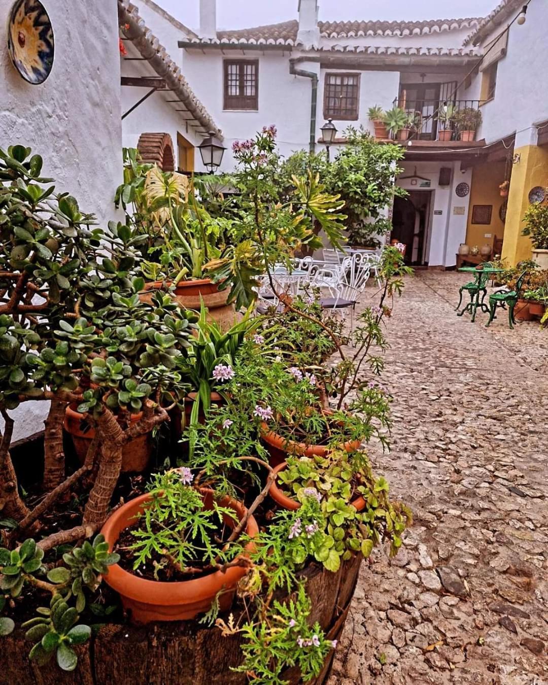 Hotel Rural Verde Oliva Comares Ngoại thất bức ảnh